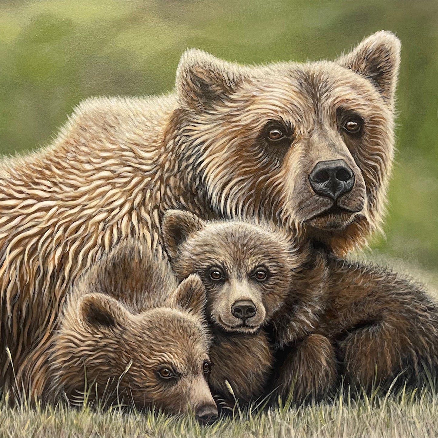 Sâkihitowin Grizzly Bears Limited Edition Print