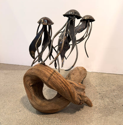 Carbon Steel Jelly Fish on Cedar Driftwood Sculpture #3