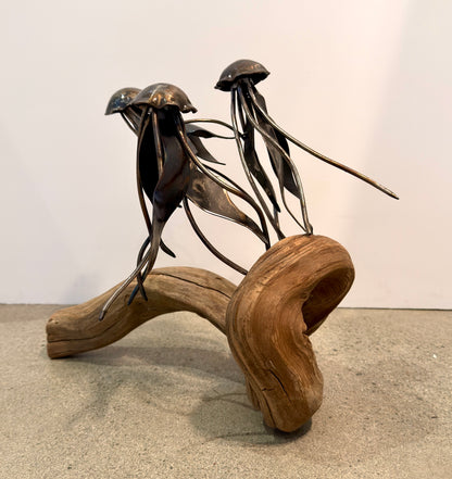 Carbon Steel Jelly Fish on Cedar Driftwood Sculpture #3