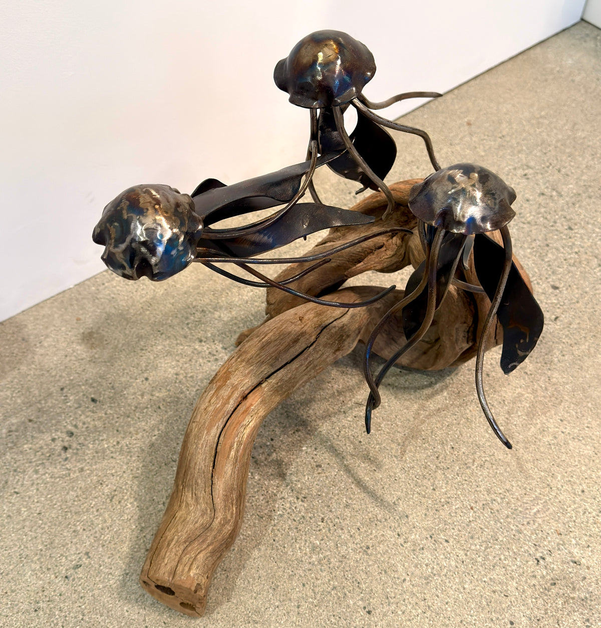 Carbon Steel Jelly Fish on Cedar Driftwood Sculpture #3