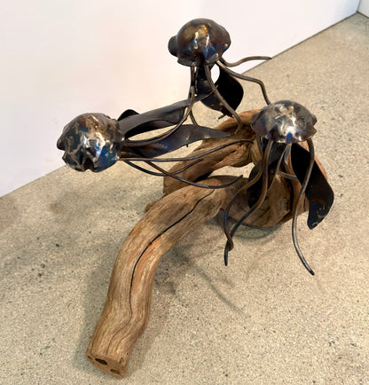 Carbon Steel Jelly Fish on Cedar Driftwood Sculpture #3