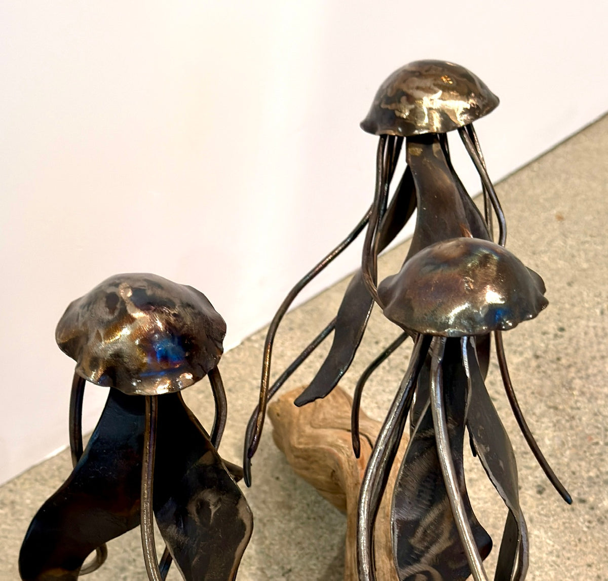 Carbon Steel Jelly Fish on Cedar Driftwood Sculpture #3